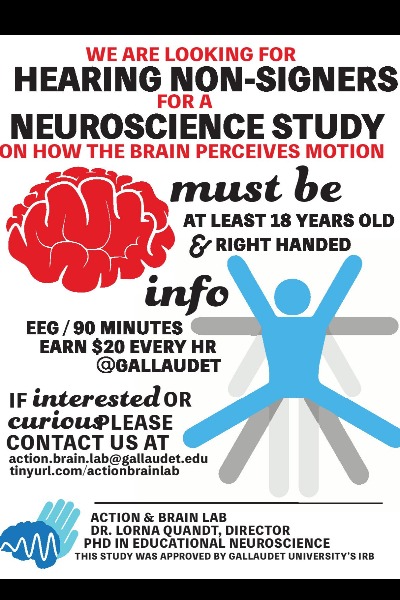 PhD in Educational Neuroscience